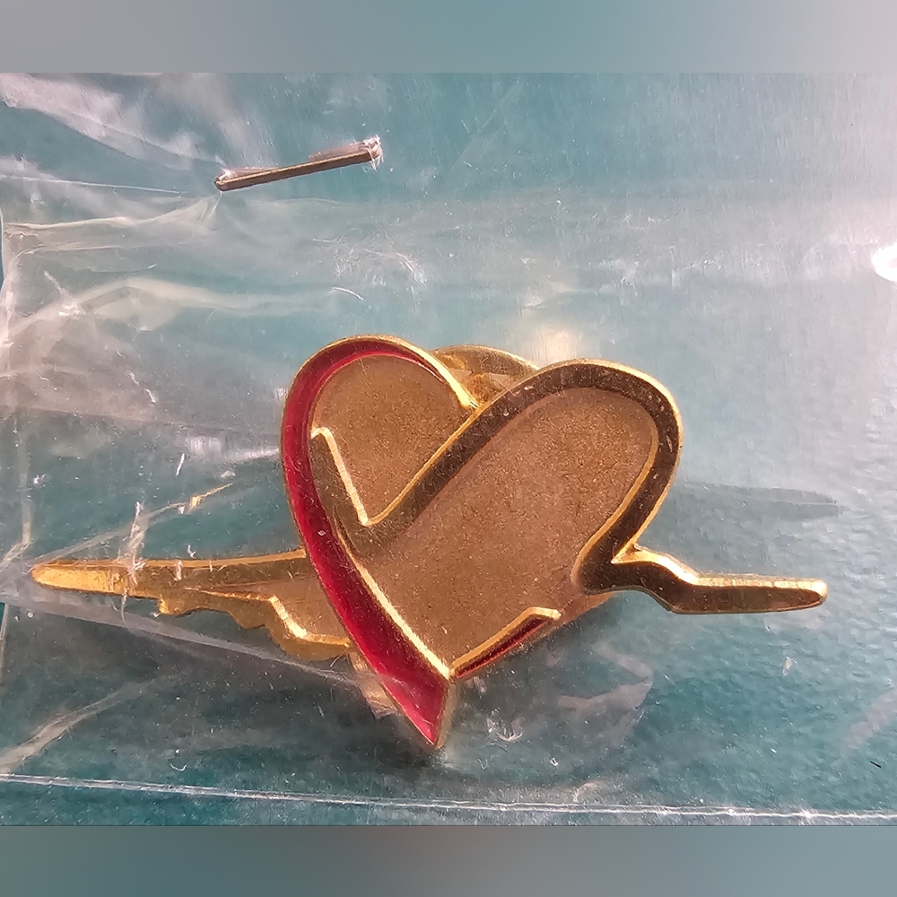 Southwest Airlines Lapel Pin